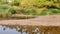 Amazing landscape view of river banks with green plants