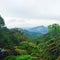 Amazing lanscape of Costarrican Mountains. Breathtaking scene of a rainforest.