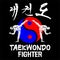 amazing logo taekwondo icon vector logo