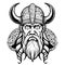 Amazing lovely vector art viking emblem symbol