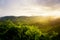 Amazing Malaysia landscape. View of tea plantation in sunset/sunrise time in in Cameron highlands, Malaysia. Nature background