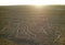 Amazing massive ancient geoglyphs of Nazca lines called Arbol tree in the evening sunlight at Nazca desert, Ica region, Peru