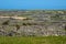 Amazing maze of dry stone walls and agriculture land. Cloudy sky. Aran island, county Galway, Ireland. Irish nature landscape