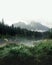 Amazing misty summer day on the Hintersee