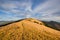 Amazing mountain landscape with colorful herbs. Evening light. Autumn landscape with mountain views. Carpathian, Ukraine