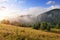 Amazing mountain landscape with colorful trees and herbs. Autumn sunny morning. Carpathian, Ukraine, Europe