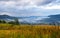 Amazing mountain landscape with fog and colorful herbs. Authumn morning after rain. Carpathian, Ukraine