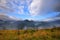 Amazing mountain landscape with fog and colorful herbs. Authumn morning after rain. Carpathian, Ukraine