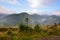 Amazing mountain landscape with fog and colorful herbs. Authumn morning after rain. Carpathian, Ukraine