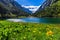 Amazing mountain landscape with lake and meadow flowers in foreground. Stillup lake, Austria