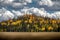 Amazing mountain of pine trees and the lush autumn colors of Birch and Aspen trees on a cloudy day in Dixie National Forrest