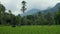 An amazing mountain view and a farmer.