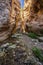 Amazing natural landscape in the Avakas canyon in Cyprus. National sunny wild park with cliffs, mountains, rocks and trees