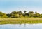 Amazing natural landscape of Ibera Wetlands with lagoon and palm trees, Corrientes, Argentina.