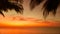 Amazing natural view of tropical sunset time background at Cuban Cayo Coco island