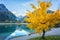 Amazing nature autumn landscape, Jasna lake in Triglav national park, Kranjska Gora, Slovenia. Outdoor travel background