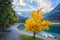 Amazing nature autumn landscape, Jasna lake in Triglav national park, Kranjska Gora, Slovenia. Outdoor travel background