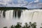 The amazing nature of iguazu waterfalls