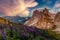 Amazing nature landscape. fantastic view of Majestic Dolomites mountains peaks with colorful sky and pink flovers on foreground.