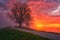 Amazing nature landscape with single tree, footpath, dramatic colorful sky with sun and clouds, Alps mountains, Slovenia