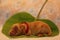 Amazing, newborn and cute Eglish Cocre Spaniel puppy detail