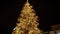 An amazing Night fairytale Christmas Tree, Uzhgorod, Ukraine