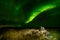 Amazing Northern Lights over the Iceland sky