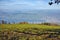 Amazing panorama of Lake Lucerne, Alps