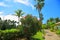 Amazing park area on Aruba Island. Green plants with red and yellow flowers and blue sky with white clouds