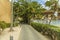 Amazing park area on Aruba Island. Nice nature landscape. Palm trees, bushes, plants.