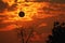 amazing phenomenon total sun eclipse over silhouette cactus and desert tree sunset sky