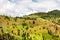 Amazing and picturesque colored mountain agriculture with corn and rice growing, green natural patchwork