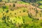 Amazing and picturesque colored mountain agriculture with corn and rice growing, green natural patchwork