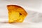 Amazing piece of Baltic amber with a prehistoric insect