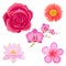 Amazing Pink Flowers Isolated Illustrations Set