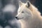 Amazing portrait of an arctic Wolf in the Snow on a black and snowed natural background. Generative AI