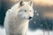 Amazing portrait of an arctic Wolf in the Snow on a black and snowed natural background. Generative AI