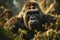 An amazing portrait of an endangered silverback mountain gorilla in wilderness