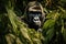 An amazing portrait of an endangered silverback mountain gorilla in wilderness. Generative AI