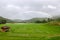 Amazing rainbow over paddy field