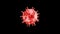 Amazing red color 3d corona virus animation video footage on black background