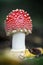 Amazing red toadstool on green blurred background