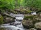 Amazing river in deep forest landscape.