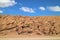 Amazing Rock Formations with Growing Unique Desert Plants Called Yareta along the Road in Siloli Desert, Bolivia