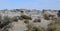 Amazing rocks formations in the desert landscape of the Ischigualasto - Moon Valley Park. Argentina