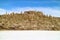 Amazing Rocky Outcrop on Uyuni Salt Flats Known as Isla del Pescado or Isla Incahuasi with Uncountable Giant Cactus Plants