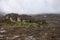 Amazing rocky terrain of mount Roraima covered