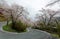 Amazing sakura cherry blossoms by the hairpin turn of a curvy highway in Miyasumi Park, Okayama, Japan