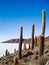 Amazing salar de Uiuny in Bolivia