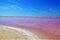 Amazing salt lake in mexico. Saturated pink water, salt deposits on the sand of the shore